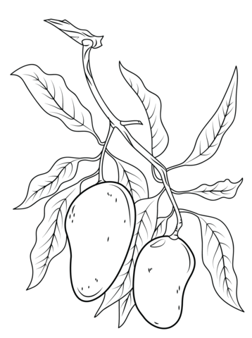 Mango Branch Coloring Page